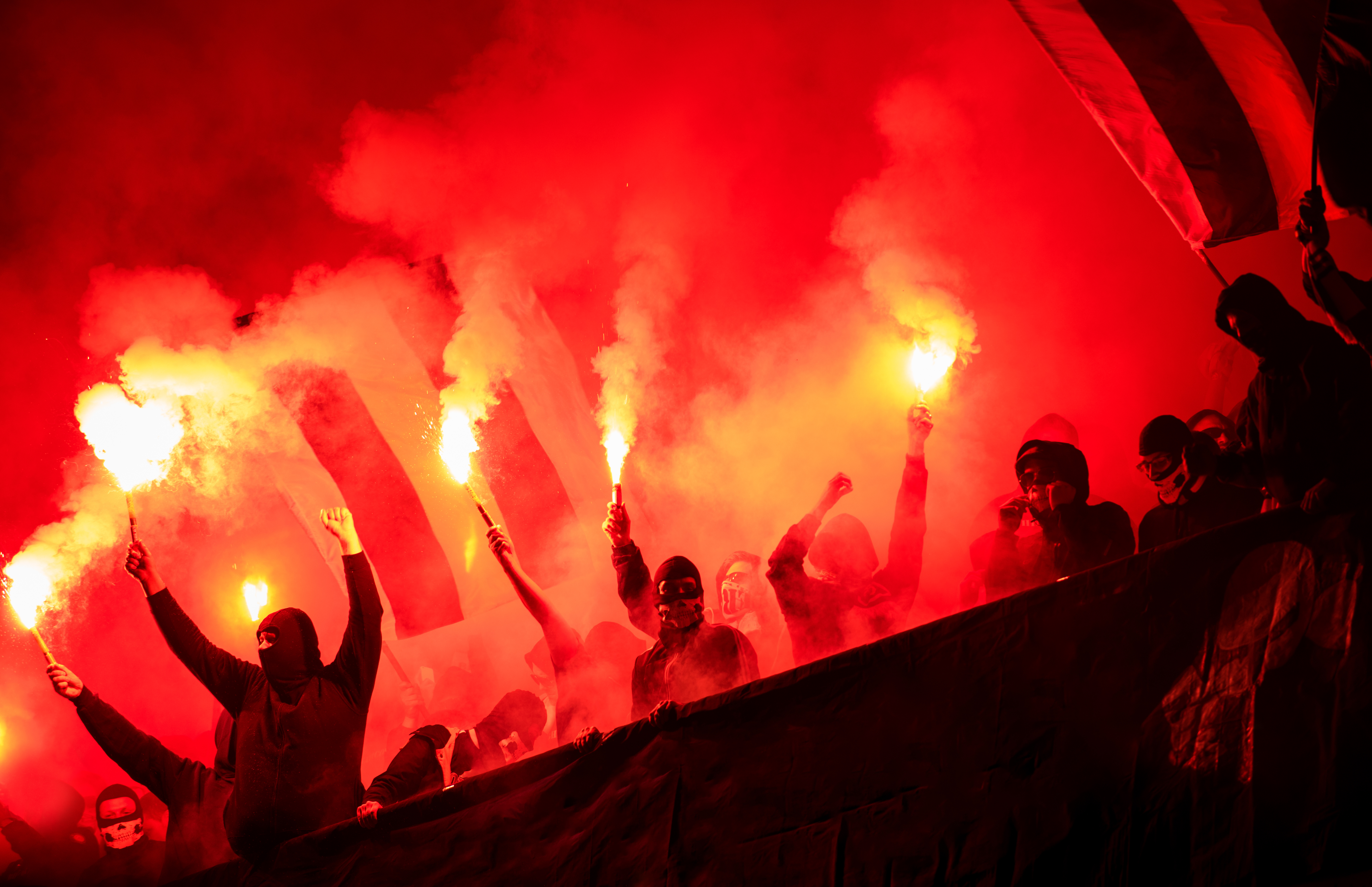 Bengalos in the stadium