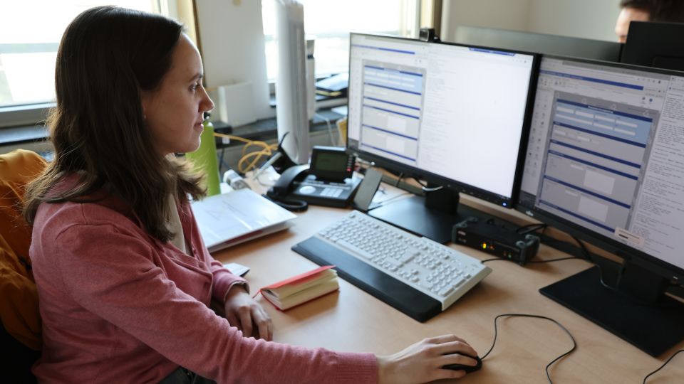 junge Frau schaut auf einen Computerbildschirm